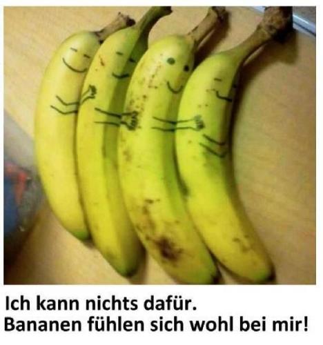 Bananadreams